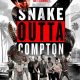 SnakeOuttaCompton-affiche-fipfilm